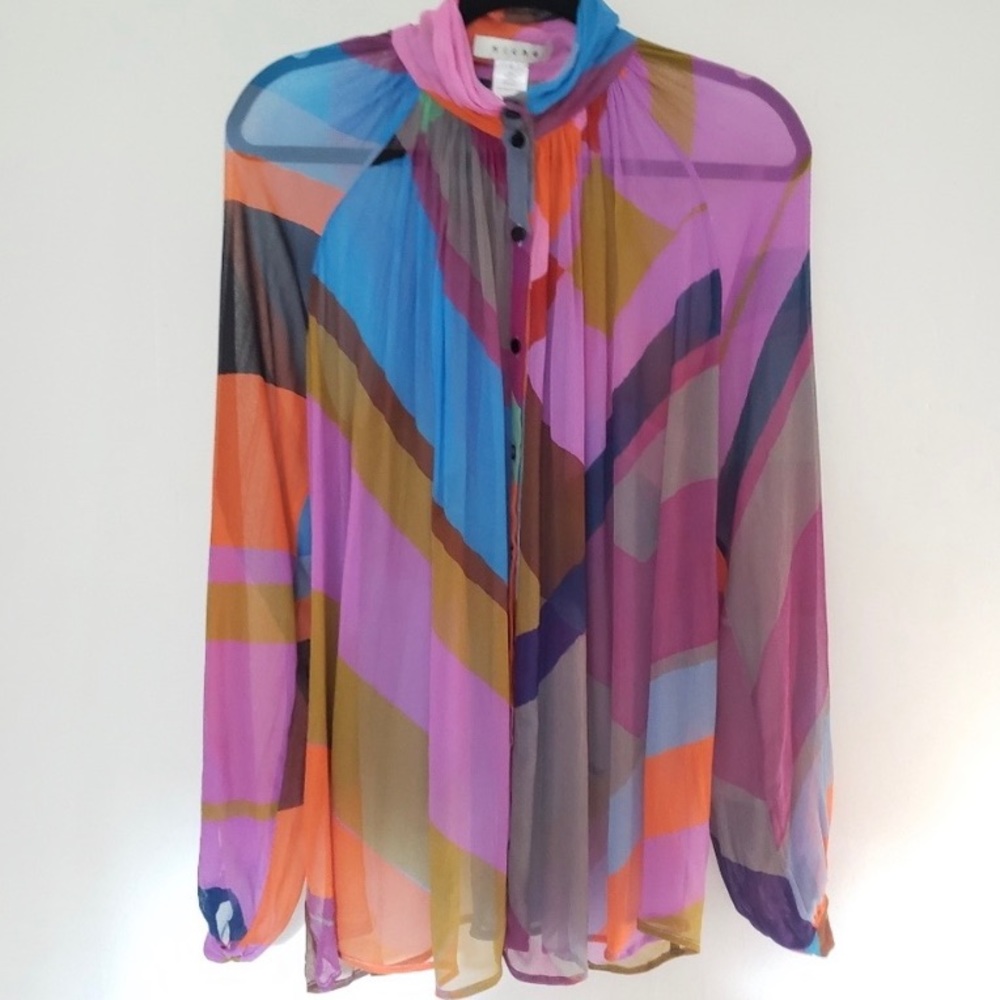 Anthropologie Hiche colorblock button sheer top